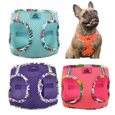 Hawaiian American River Choke Free Harness dog harnesses, HARNESSES, harnesses for small dogs, MORE COLOR OPTIONS
