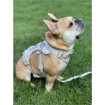 Soft Gray Cushioned Smart Harness & Leash NEW ARRIVAL