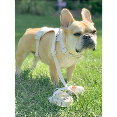 Soft Gray Cushioned Smart Harness & Leash NEW ARRIVAL
