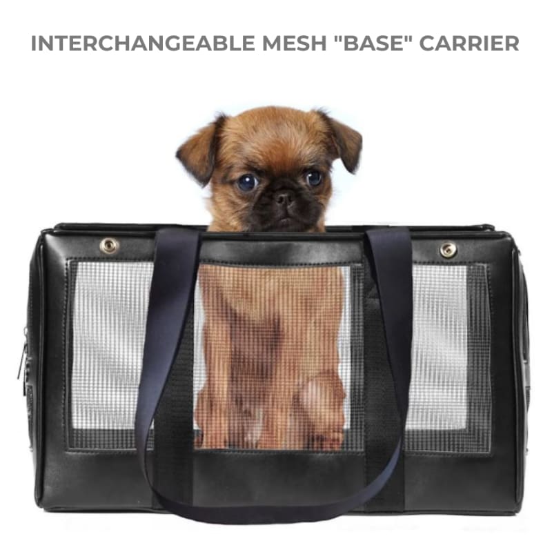 Sporty Black Dog Carrier Shell Tote NEW ARRIVAL