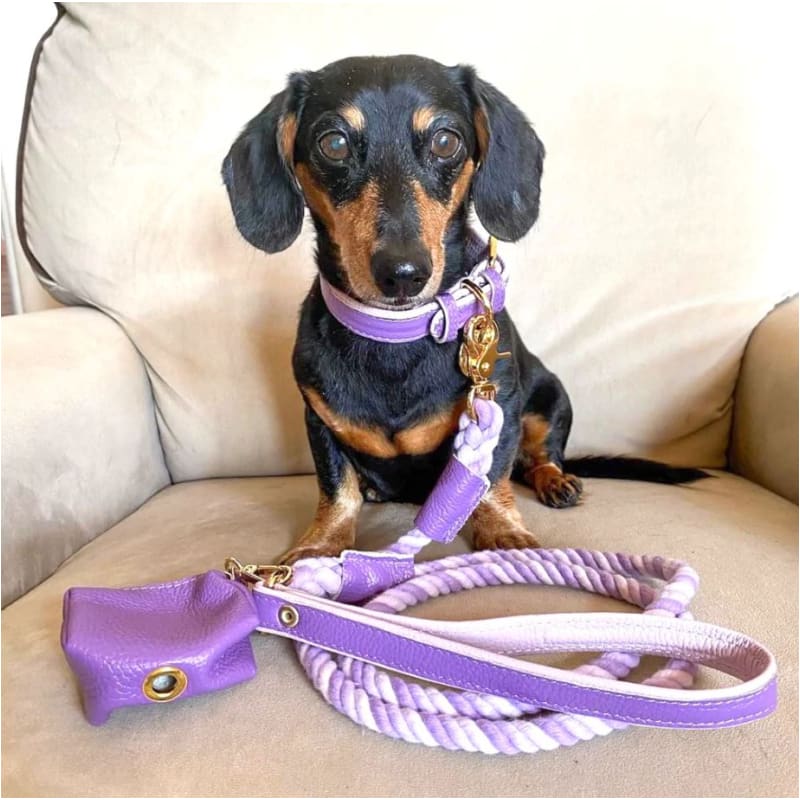 Genuine Italian Leather Dog Collar in Lavish Lavender