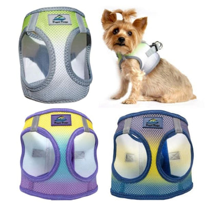 Ombre American River 2 Choke Free Harness dog harnesses, HARNESSES, harnesses for small dogs, MORE COLOR OPTIONS, NEW ARRIVAL