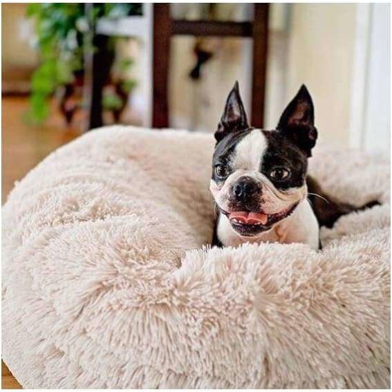 - Blondie Shag Bagel Bed BAGEL BEDS bagel beds for dogs BEDS cute dog beds donut beds for dogs
