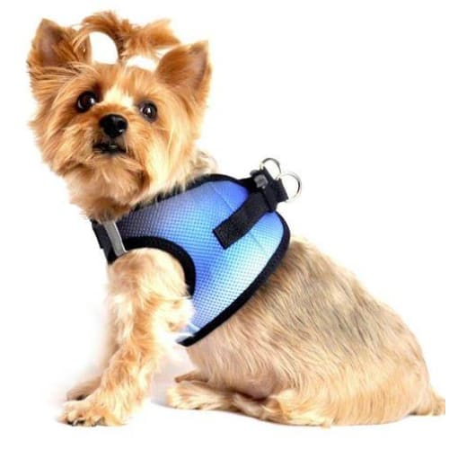 Ombre American River 2 Choke Free Harness dog harnesses, HARNESSES, harnesses for small dogs