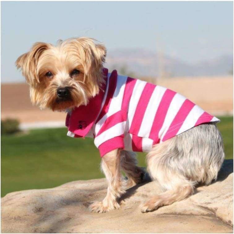 100% Cotton Preppy Pup Polo - Pink Stripe NEW ARRIVAL
