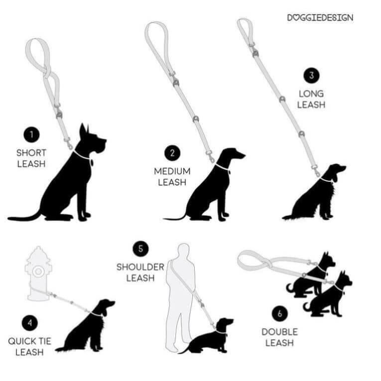 - 6 Way Multi-Function Dog Leash NEW ARRIVAL
