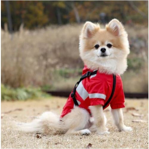 - Wilderness Hooded Dog Harness Raincoat