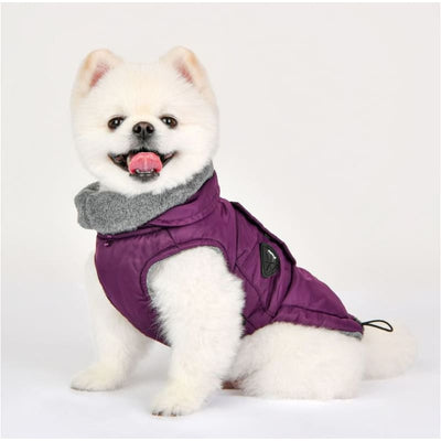 Tomas Dog Coat Dog Apparel clothes for small dogs, cute dog apparel, cute dog clothes, dog apparel, dog harnesses