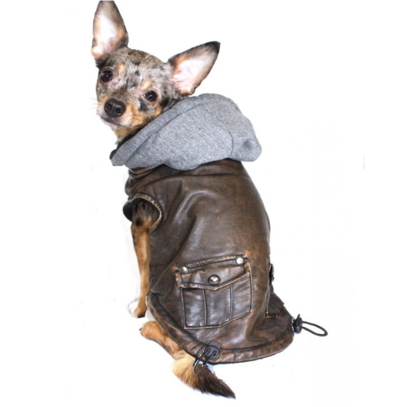- Hip Doggie Vintage Bomber Dog Jacket Coats Hip Doggie New Arrival Winter Coats