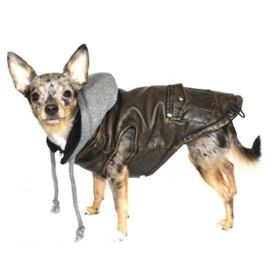 - Hip Doggie Vintage Bomber Dog Jacket Coats Hip Doggie New Arrival Winter Coats