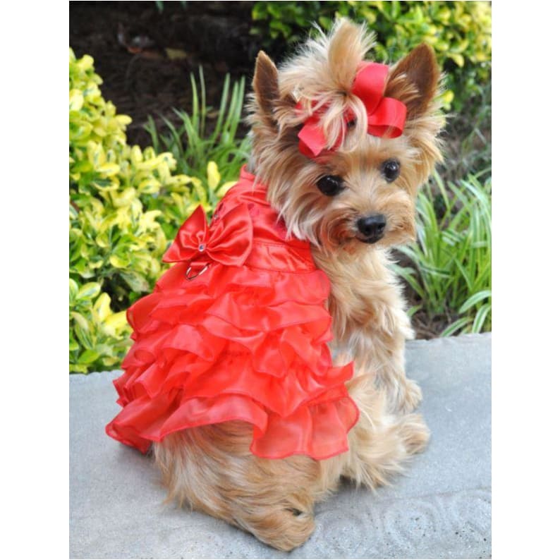 Christmas Red Satin Dog Harness Dress clothes for small dogs, cute dog apparel, cute dog clothes, cute dog dresses, dog apparel