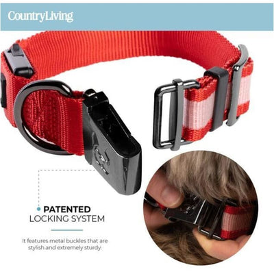 Red Country Living™ Reflective Light-Up Rechargeable Dog Collar NEW ARRIVAL