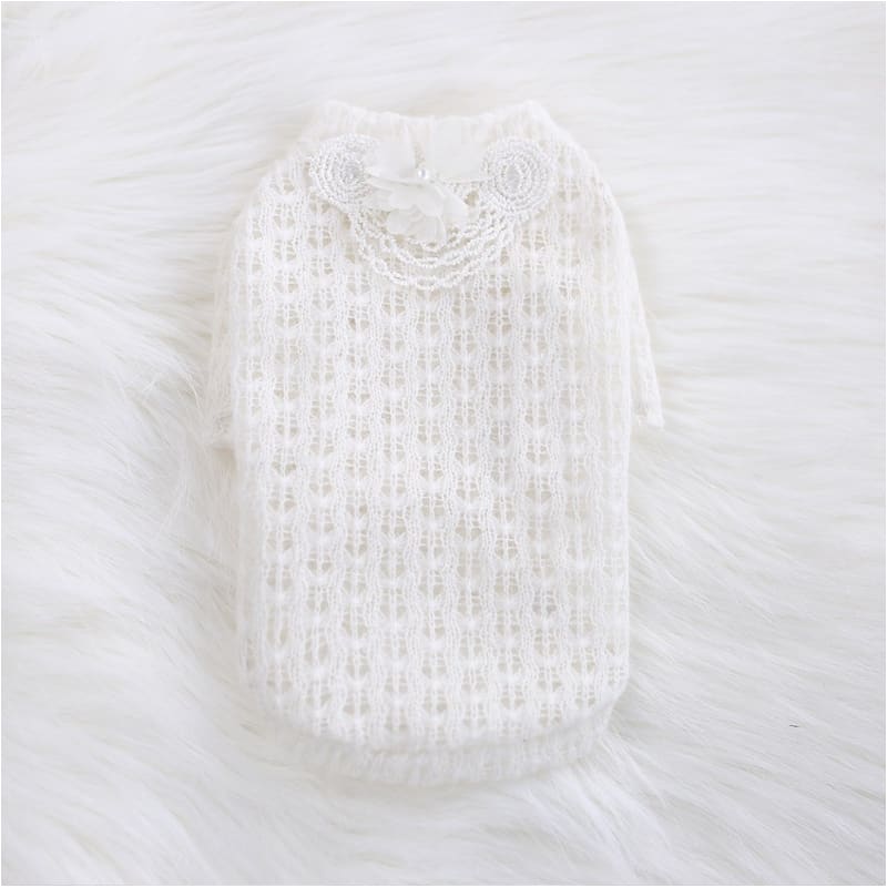 - Sweet Magnolia Dog Sweater NEW ARRIVAL