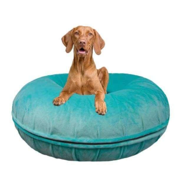 Aqua Marine Bagel Bed bagel beds for dogs, cute dog beds, donut beds for dogs, NEW ARRIVAL