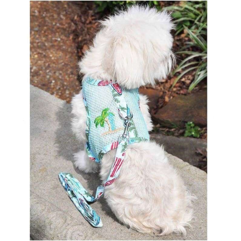- Aqua Surfboard and Palms Dog Harness & Matching Leash dog harnesses harnesses for small dogs