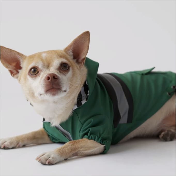 Green Aiden Dog Raincoat NEW ARRIVAL