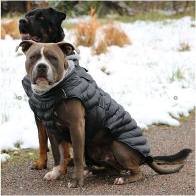 - Black Alpine Extreme Cold Puffer Dog Coat clothes for small dogs cute dog apparel cute dog clothes dog apparel dog sweaters