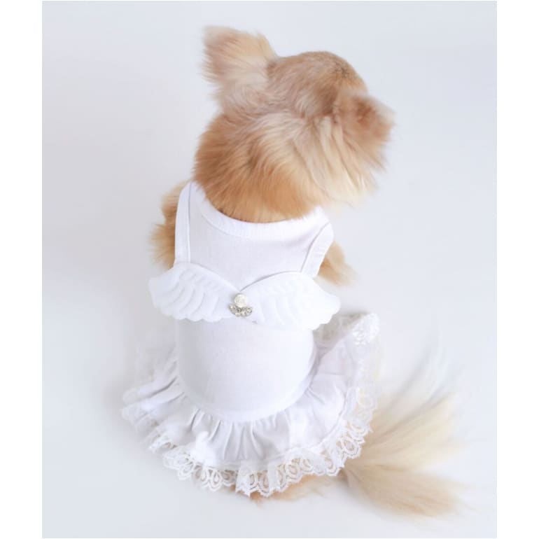 - Lil Angel Dog Dress