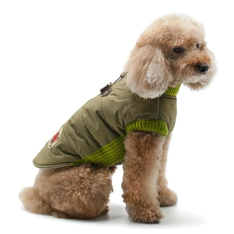 - Army Runner Dog Coat Coats New Arrival