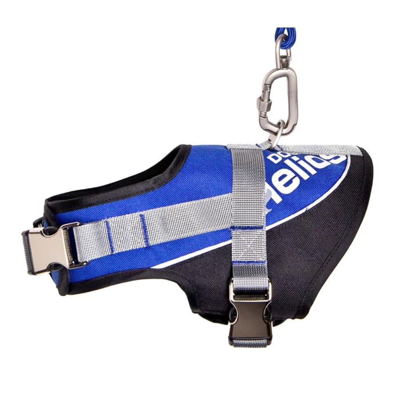Blue Helios Bark-Mudder 2-in-1 Harness & Leash Set