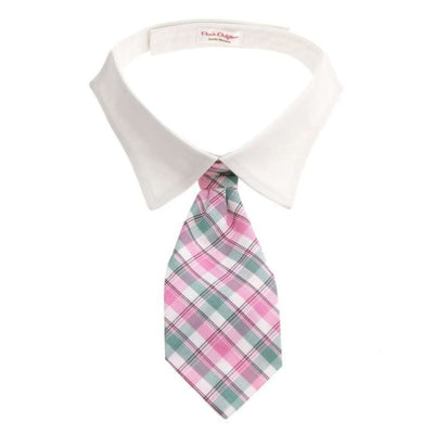 - Brooks Shirt Collar with Necktie