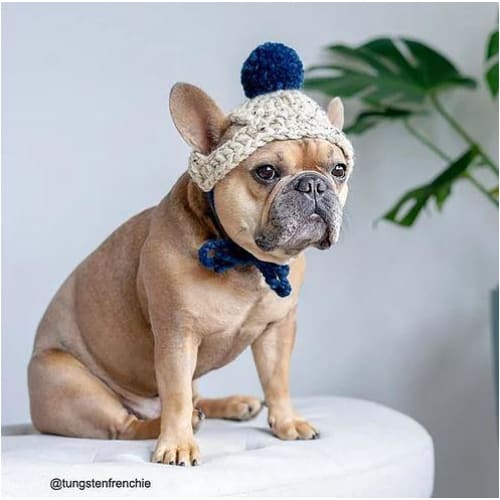 Navy & Oatmeal Crocheted Beanie Dog Hat NEW ARRIVAL