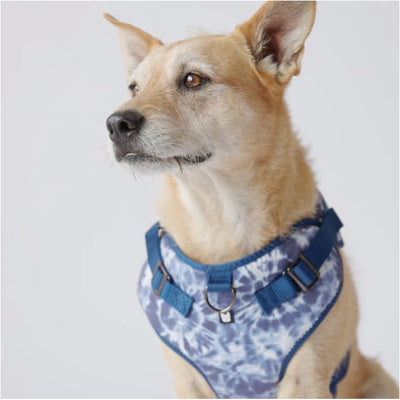 Blue Tie Dye Poplin Dog Harness