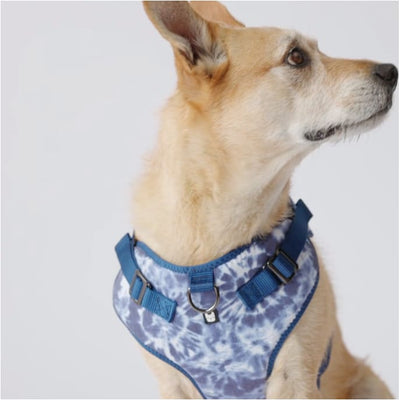 Blue Tie Dye Poplin Dog Harness