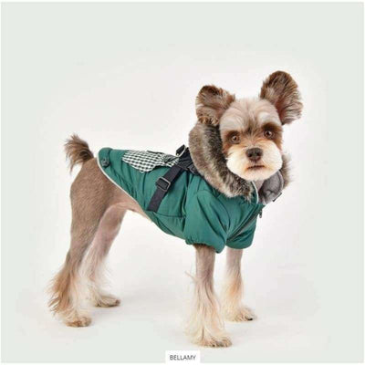 Bellamy Dog Coat With Harness NEW ARRIVAL