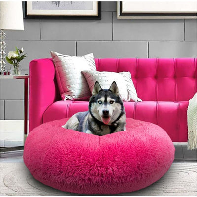 Lollipop Shag Bagel Bed BAGEL BEDS, bagel beds for dogs, BEDS, cute dog beds, donut beds for dogs