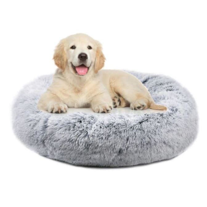 Orthoplush Gray Two-Tone Dog Bed - 28 NEW ARRIVAL