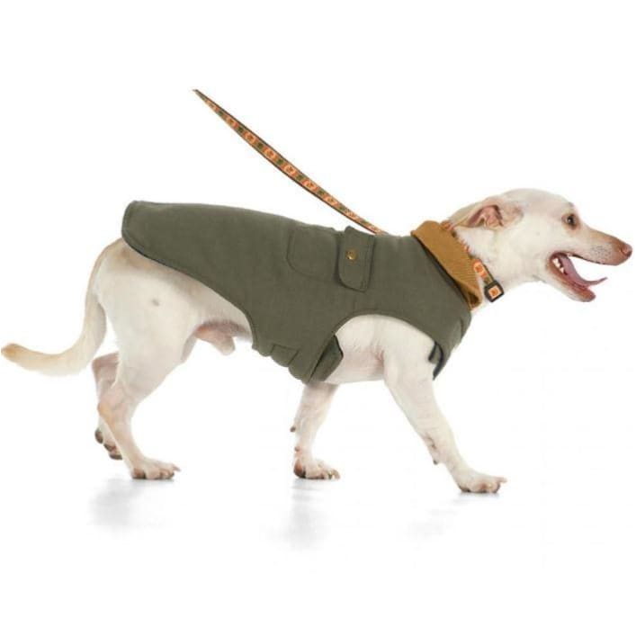 - Chester Barn Dog Coat in Green NEW ARRIVAL