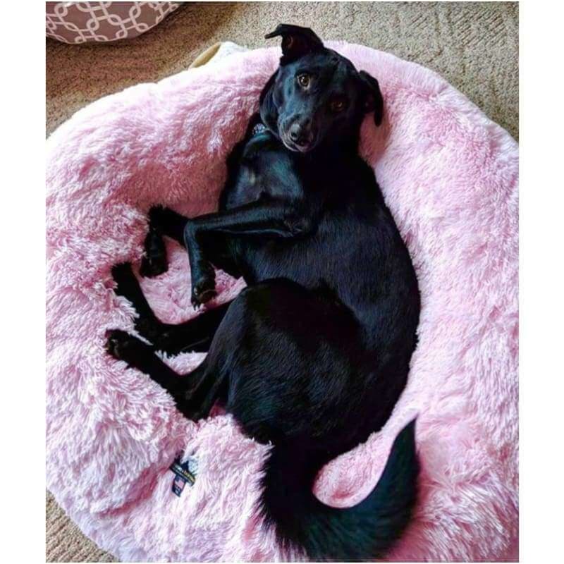 - Bubble Gum Shag Bagel Bed bagel beds for dogs cute dog beds donut beds for dogs NEW ARRIVAL