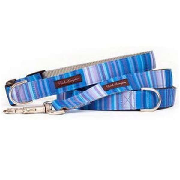 - Blue Candy Stripe Dog Leash NEW ARRIVAL