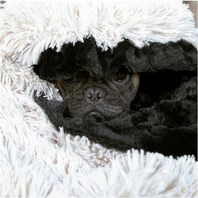 - Snow White Luxury Dog Blanket blankets for dogs luxury dog blankets