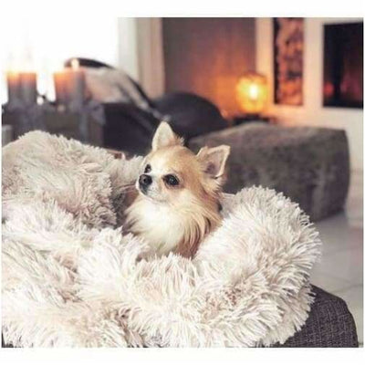- Blondie Luxury Dog Blanket blankets for dogs luxury dog blankets