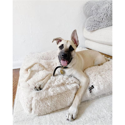 Sicilian Rectangle Blondie Shag Bed Dog Beds BEDS, bolster dog beds, NEW ARRIVAL, rectangle dog beds