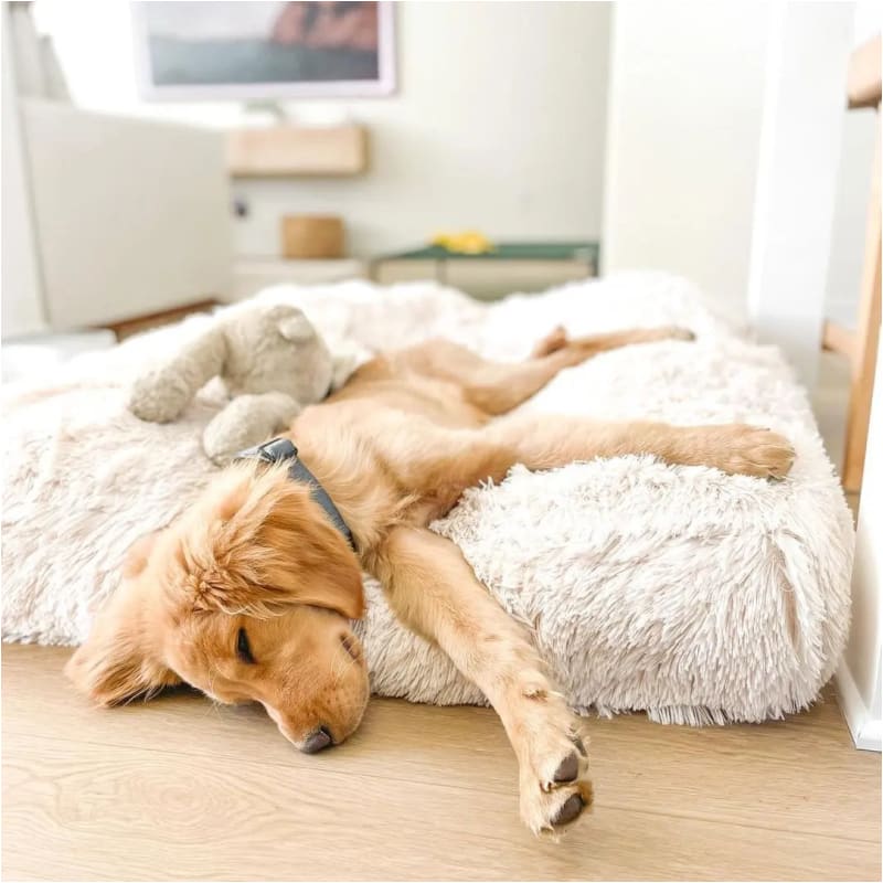 Sicilian Rectangle Blondie Shag Bed Dog Beds BEDS, bolster dog beds, rectangle dog beds