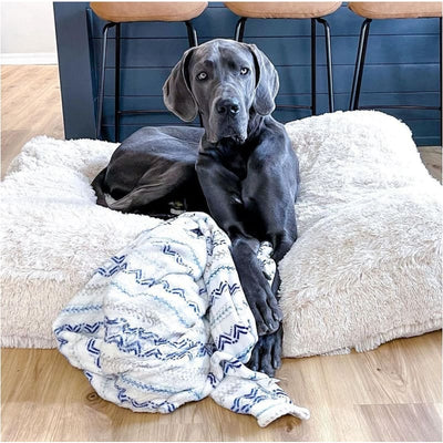 Sicilian Rectangle Blondie Shag Bed Dog Beds BEDS, bolster dog beds, NEW ARRIVAL, rectangle dog beds