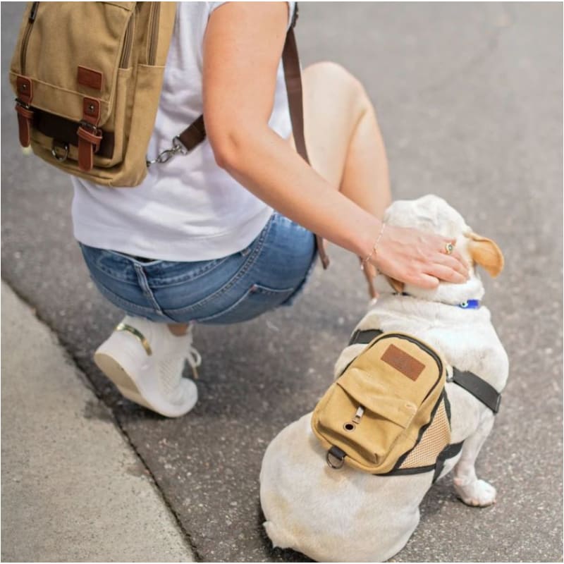 Human Backpack & Matching Dog Backpack NEW ARRIVAL