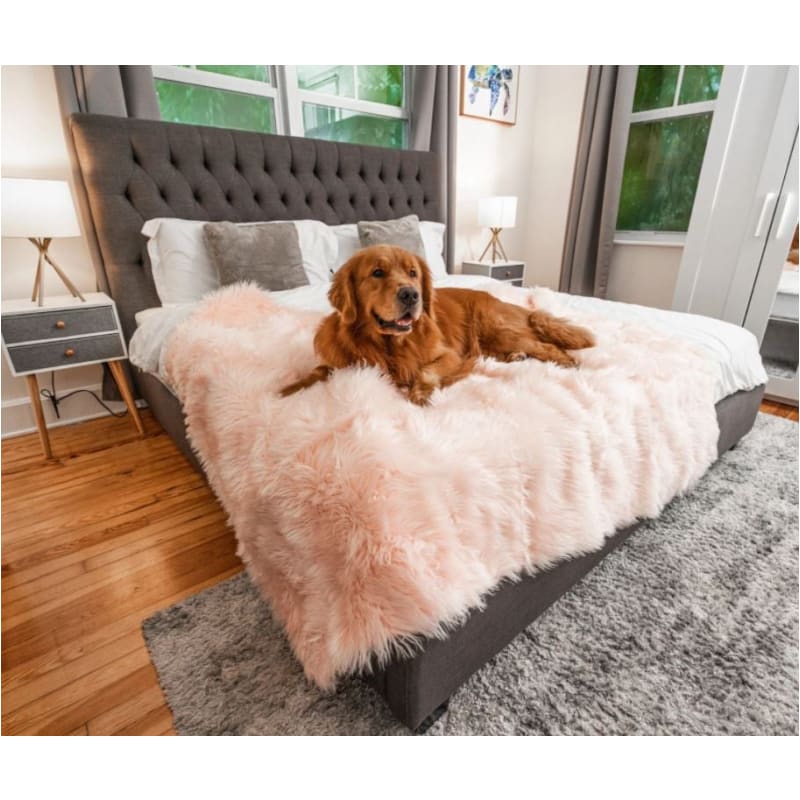 PupProtector™ Waterproof Blush Pink Throw Blanket Pet Bed Accessories NEW ARRIVAL