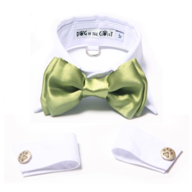 - White Shirt Dog Collar With Apple Green Bow Tie Dog In The Closet New Arrival
