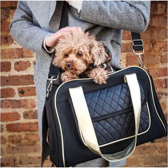 - Mystique Airline Approved Dog Carrier in Black dog carriers dog carriers backpack dog carriers slings dog purse carrier PET LIFE