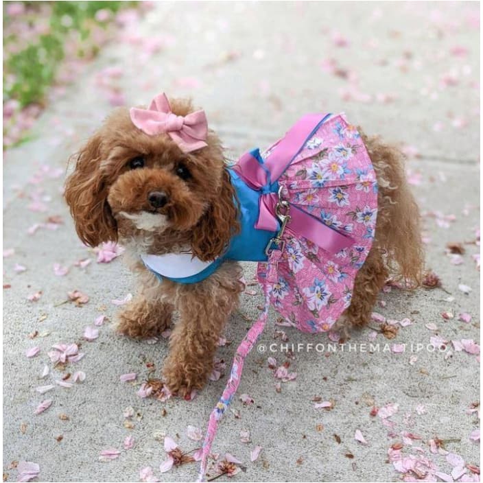 Plumeria Floral Dog Dress With Matching Leash clothes for small dogs, cute dog apparel, cute dog clothes, cute dog dresses, dog apparel