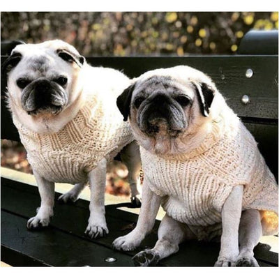 - Cable Knit Wool Dog Sweater in Cream clothes for small dogs cute dog apparel cute dog clothes dog apparel dog hoodies