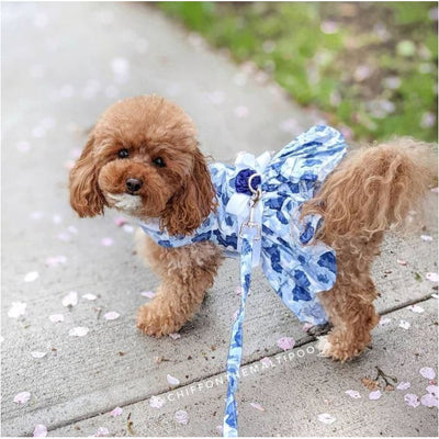 Blue Rose Dress With Matching Leash clothes for small dogs, cute dog apparel, cute dog clothes, cute dog dresses, dog apparel