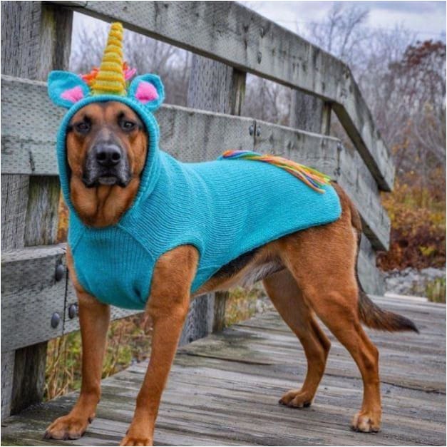 Unicorn Dog Sweater clothes for small dogs, cute dog apparel, cute dog clothes, dog apparel, dog hoodies