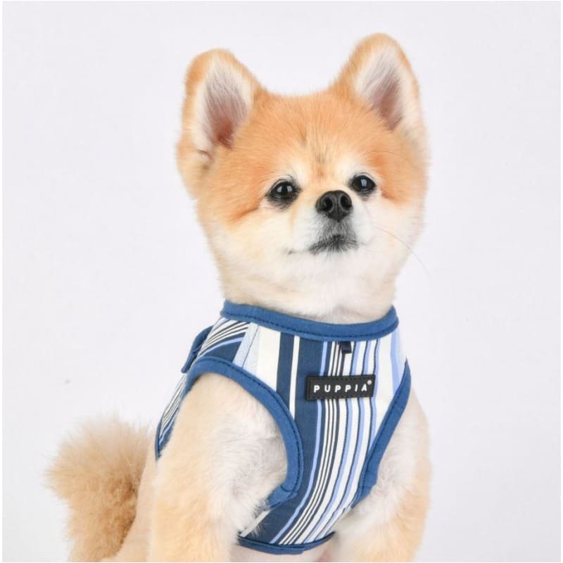 Navy Caiden Vest Harness B NEW ARRIVAL