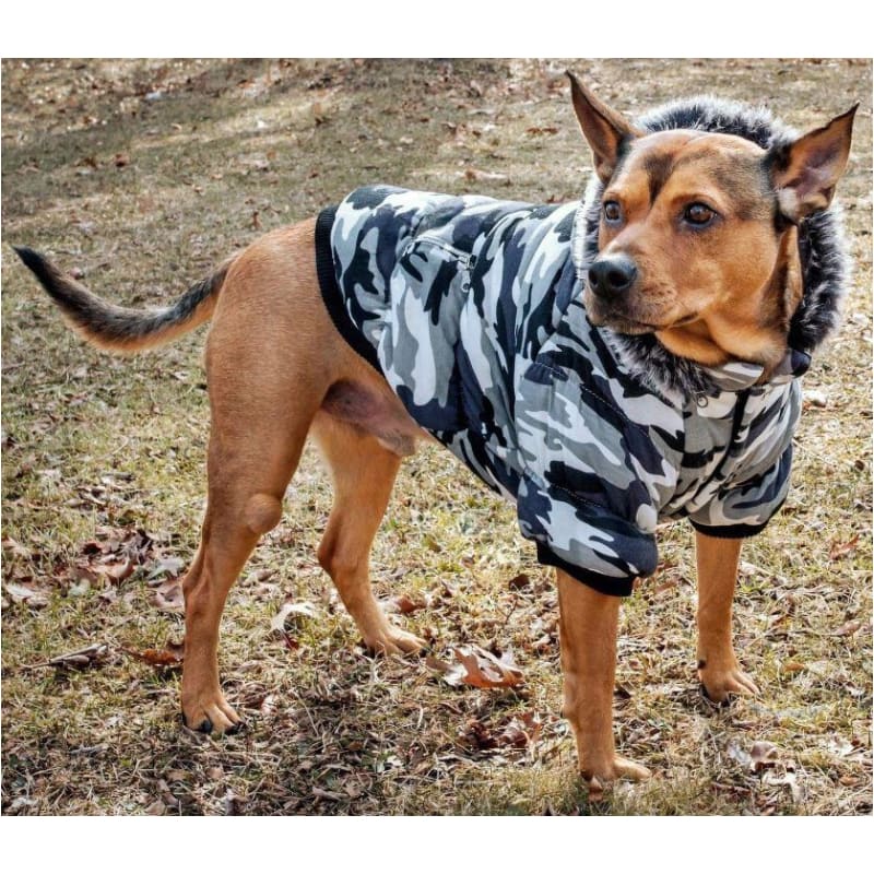 - Metallic Camo 3M Insulated Dog Parka NEW ARRIVAL PET LIFE