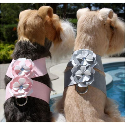 Platinum Special Occasion Ultrasuede Tinkie Flower Harness